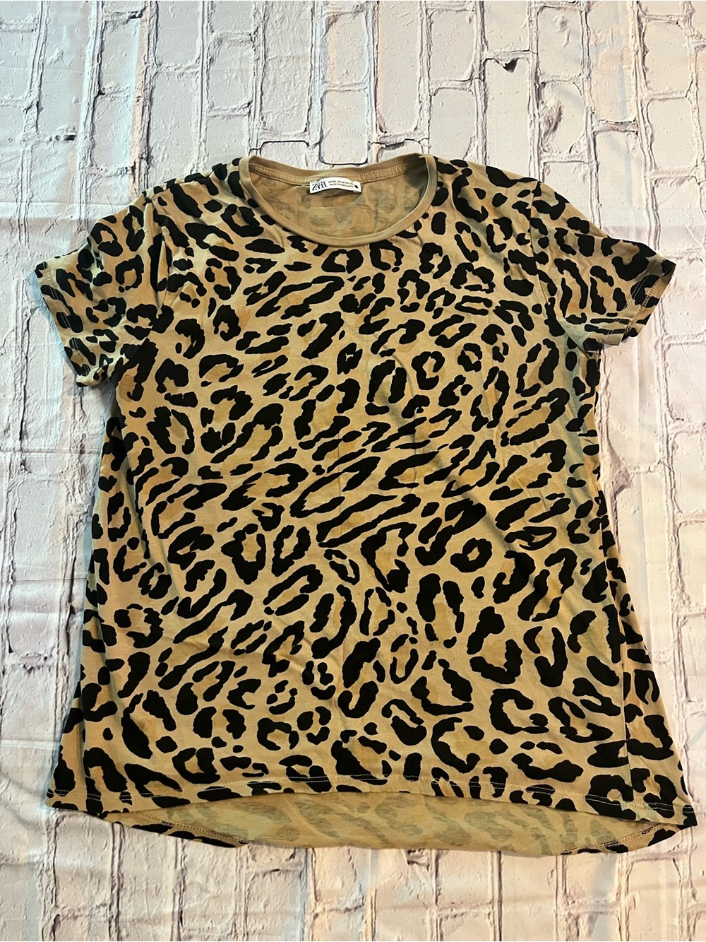 Zara Leopard Print Top